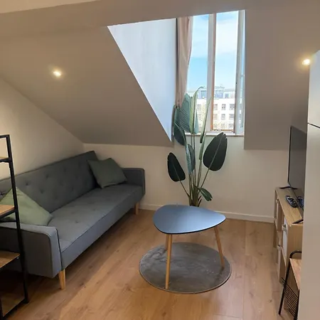 Apartamento Secteur Rives De Meurthe Nancy