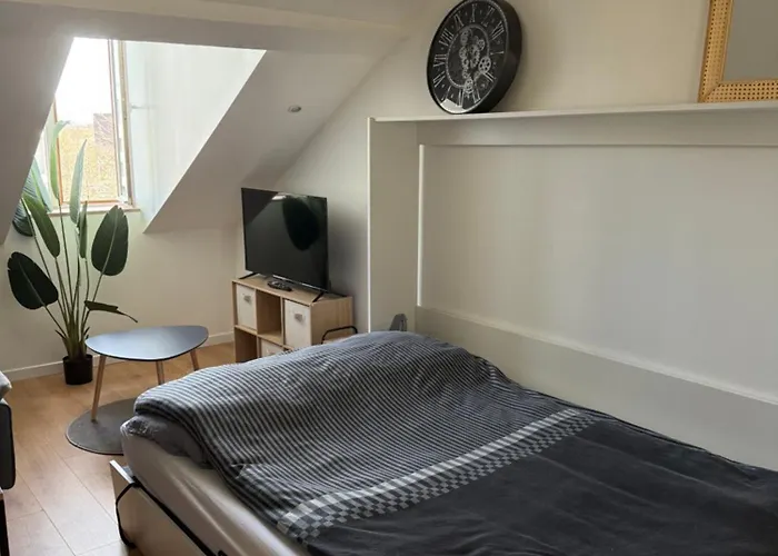 Apartment Secteur Rives De Meurthe