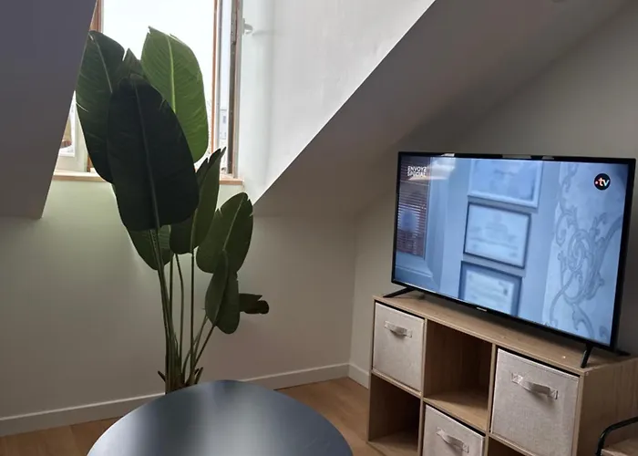 公寓 Secteur Rives De Meurthe